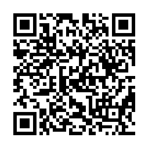 想在这种在几乎没有任何遮掩的大平地靠近并活捉敌人二维码生成