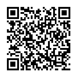 想她一个娇滴滴的大家闺秀也没有做过钓鱼的事情二维码生成