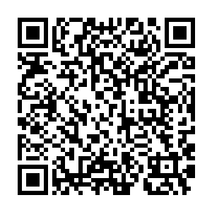 想好从二流武者势力首领武皇强者的手中搞到大量的灵石供其修炼二维码生成
