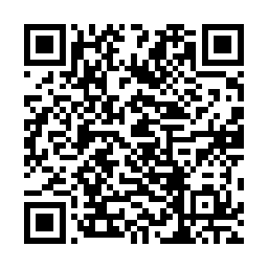 想娶我闺女就等她年龄大了之后让你们言少爷自己去追求二维码生成