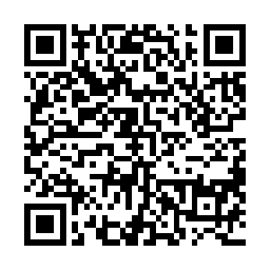 想当初她就是因为一颗光之珠将光属性领悟到了小成境界二维码生成