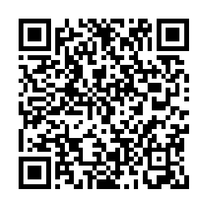 想当初开始录制的时候他根本找不到自己的地位二维码生成