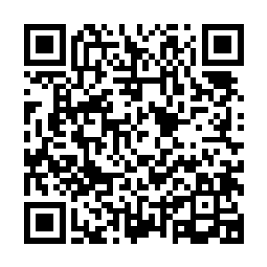 想当初自己还曾经被太玄宗的那个身化法身护宗大阵震惊不已二维码生成
