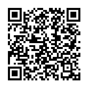 想当年张家的那个家主张高轩在五色宝塔内得了一枚道源果二维码生成