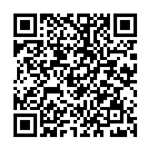 想当年赵纯良只靠一双拳头就能够击碎先天高手的风墙二维码生成