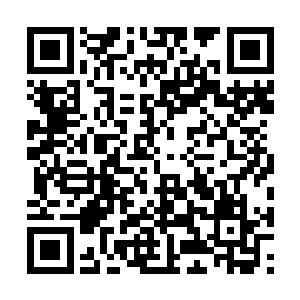 想得事情就是简单了一些――也不能说她们想错了二维码生成