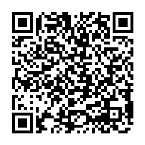 想必也不是舒曼琳那个不知道从哪儿来的所谓南疆救世主的名头可以轻易动摇的二维码生成