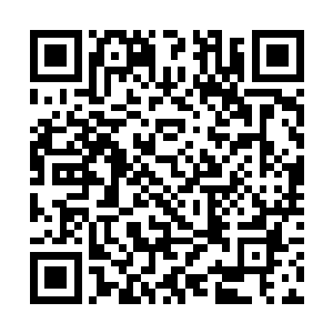 想必你也不会拒绝多一个人多一份力量过最后一关吧二维码生成