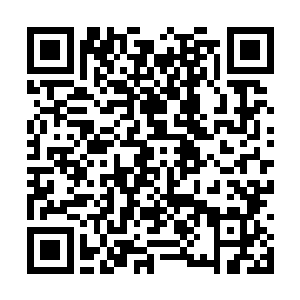 想必便是混鲲祖师放在这个世界中的上一个代言人二维码生成