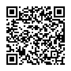 想必刚才许舒也已经把我的状况和你们说清楚了二维码生成