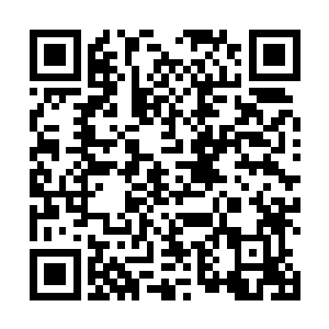 想必单人作战实力绝不在取名难三人组中任何一人之下二维码生成