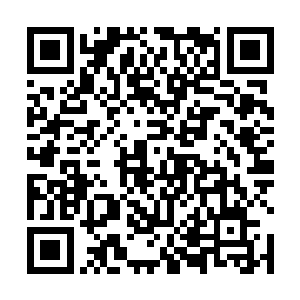 想必各位伯父已经知道陈国太子陈东出使我们杨国之事二维码生成