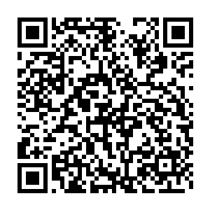想必各位都清楚风日商业的大本营已经从风城逐渐搬入北月国帝都二维码生成