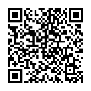 想必在鬼界……你也就是个只能杀杀无灵识之人的杂鱼而已二维码生成