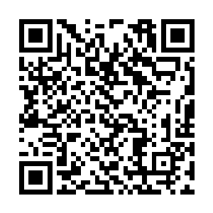 想必外公是希望小麟儿将来长大了性格潇洒如风的二维码生成