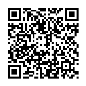 想必对于任何一个渴望探究世界真谛的学者来说二维码生成