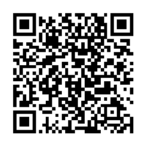 想必小少爷真的之前曾经带过那个小女孩去过那个山洞二维码生成