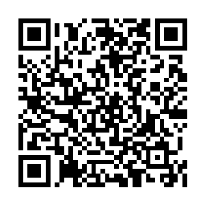 想必就是眼前这名不起眼人族的虚神剑域空间了二维码生成