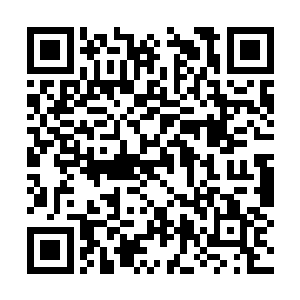 想必当初在这里因为有着洞府内的那个符纹的存在二维码生成