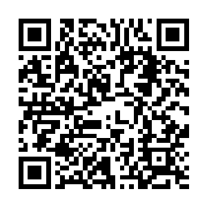想必是她在十三年前看到了魔帅撒多的威能受到了刺激二维码生成