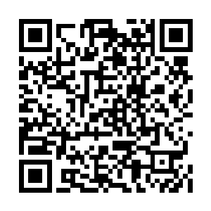 想必是害怕许舒的身份和他们一样是自己的家奴二维码生成