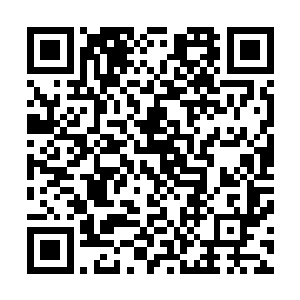 想必是影狼兽有什么特殊的手段将地上的影子吸附到身体内二维码生成