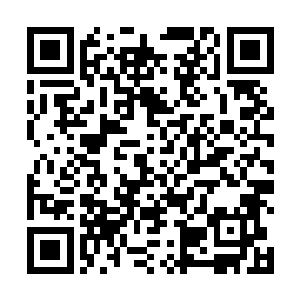 想必是绝不会做出什么唐突之事冒犯我大楚的闺秀们的二维码生成
