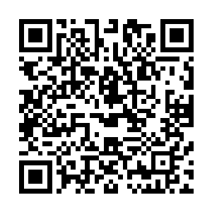 想必眼前的这个女人心里已经知道了自己会有什么样的后果二维码生成