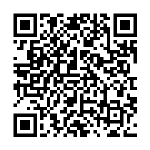 想必获得的天眷不少――已经凑足了一朝天命的天眷了吧二维码生成