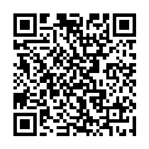 想必菲利普也是考虑到这个因素才让他陪伴嘉宝过来二维码生成