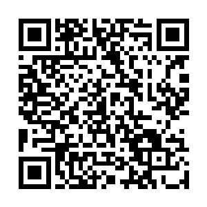 想必跟她一起并列为crystal两大主唱之一的队长谈薇二维码生成