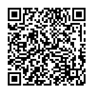 想必这个就是未成年的小丫头就是最近盛传的苍夷大陆秋神医的唯一弟子二维码生成