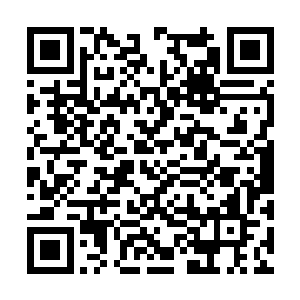 想必这四位长老便是你们东龙宗最厉害的高手了吧二维码生成