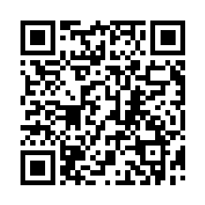 想必这家伙就是那什么猎人公会的公会二维码生成