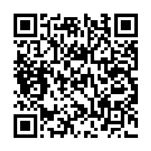 想必那两个半吊子的不朽也不会是愤怒他们的对手二维码生成