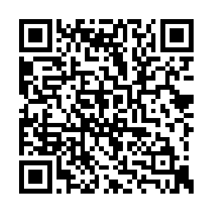 想必那个什么炼金术士早就已经被他们给杀了吧二维码生成