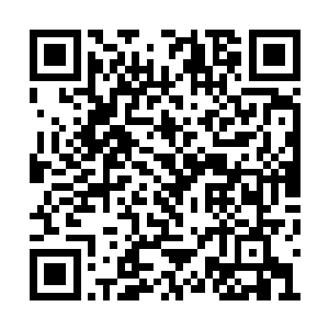 想想办法将大家的注意力从小宝和小熊身上移开二维码生成