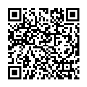 想想这情况和自己使劲浑身解数想给芊芊解封记忆而不得成二维码生成