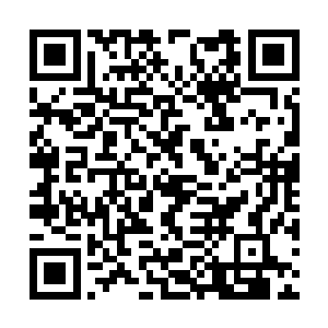 想想震武门自己不过是出手教训了下几名弟子而已二维码生成