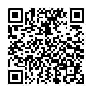 想我堂堂炼气后期的修真者居然在此地当做一个跑腿的使唤二维码生成