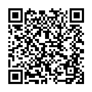 想我的话你难道不应该在看我的时候给我带礼物吗二维码生成