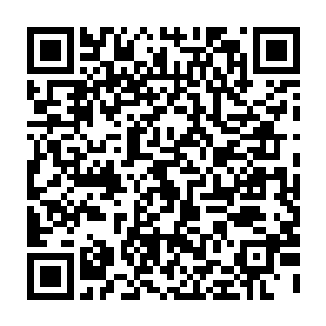 想挤进烛龙领飞行学院和烛龙军团学习飞机驾驶和各种烛油武器使用的人二维码生成