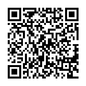 想明白这点的雷林丝毫没有惋惜地驱散了呼啸的世界原力二维码生成