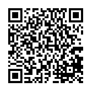 想是因为自己从筑基期第十一层初期达到了筑基期第十一层后期二维码生成