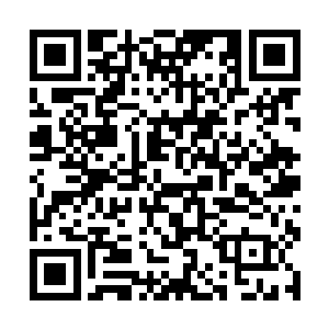 想来他们的战略大概是觉得夜明的方阵行动速度缓慢二维码生成