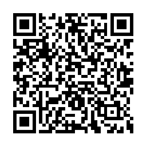 想来你肯定是某个大势力或者圣地培养的接班人二维码生成