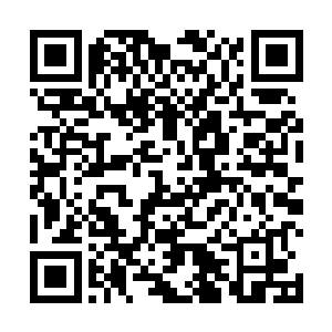 想来剩下的两个孩子也用不了多少时间就能够顺利生出二维码生成