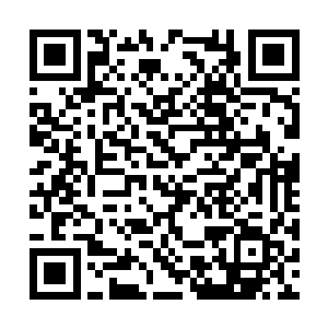 想来对那个叫陈长生的少年肯定也不会有任何好感二维码生成