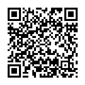 想来昨天那张地图被小兄弟得到后便连夜赶到了前面那座山脉吧二维码生成