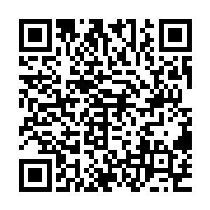 想来是叶秋在知道白面的身体状况之后专门准备了好多药材吧二维码生成